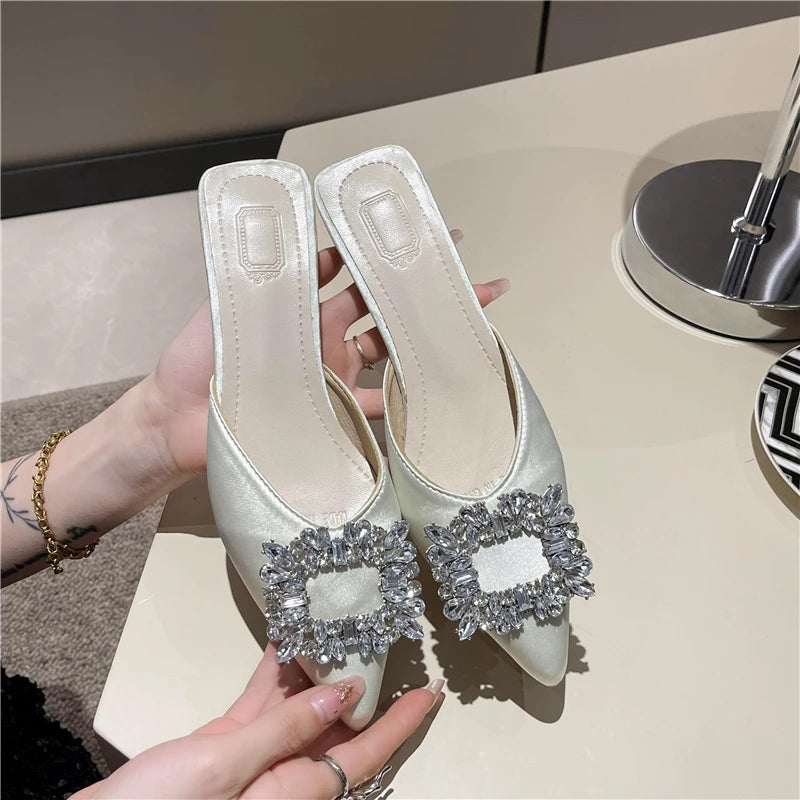 Pointed Toe mid Heel Mules